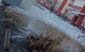 Происшествия