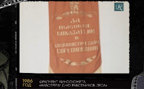 Общество