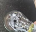 Сахалинец продаёт чудо-лампу с "нерождённым братом-близнецом" за 300 тысяч