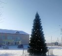 В планировочных районах Южно-Сахалинска монтируют новогодние ели