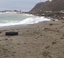 Представители мэрии Томари выехали на скандальный городской пляж и не обнаружили там мусора
