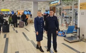 Происшествия