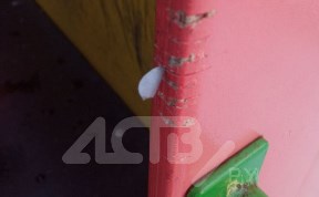 Происшествия