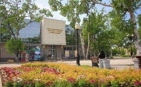 Культура