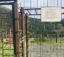 В Южно-Курильске на ребёнка, играющего на спортплощадке, упали ворота 