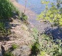 "Вонища — с ума сойти!": нечистоты текут с новых очистных сооружений в Лютогу 