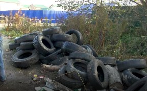 Общество
