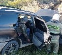  "Калдина" вылетела в кювет в Мицулевке 