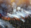 Пожароопасный сезон в сахалинских лесах начнётся 1 мая