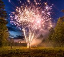 В России запретили запускать пиротехнику в лесах после схода снега