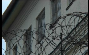 Общество