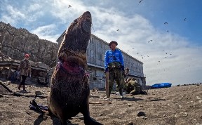 Общество