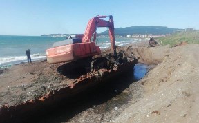 Общество