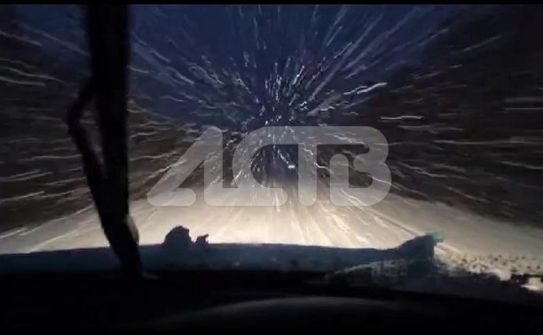 Циклон внезапно обрушил метель на Сахалин - автомобилистов предупреждают об опасности