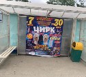 Цирк и курсы ментальной арифметики нарушают закон в Южно-Сахалинске
