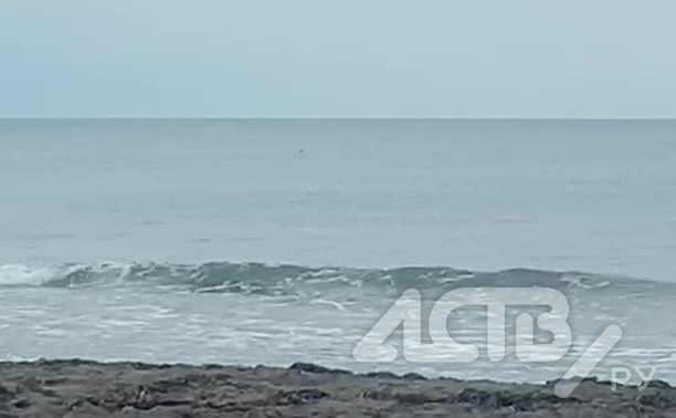 Очевидец: акулы подошли к пляжу на Сахалине