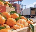 Россия в шесть раз нарастила закупки китайских мандаринов
