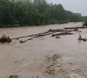 В Смирныховском районе подтопило 10 дворов, семью эвакуировали из жилого дома