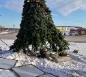 На Сахалине вандалы повалили новогоднюю ель на площади, привязав её тросом к машине