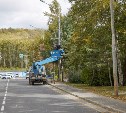 Навстречу празднику: в Южно-Сахалинске заменят световые консоли и установят новую новогоднюю ель
