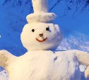 На Сахалине вандалы оторвали голову снеговику и носились с ней по двору