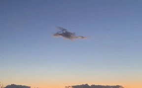Общество