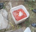 Полтонны рыбы и 200 кг икры  нашли в тайнике сахалинские полицейские (ФОТО)