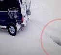 "Тащили на веревке за машиной, отрезали хвост": в Охе в объектив камеры попали страшные кадры