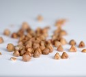 На Сахалине распространяют фейковый указ о дефиците гречки: чему не стоит верить
