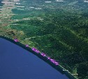 Свыше 20 тунцов выбросило на берег Сахалина