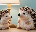 Жителей 9 районов Сахалина предупредили о плановом отключении электроэнергии — адреса