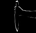 Житель Углегорска пырнул ножом соседа за разбитый им же стеклянный стол