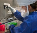 В Сахалинской области выявили 16 случаев "свиного" гриппа