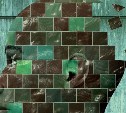 С приходом весны спрос на психологов у россиян взлетел на треть