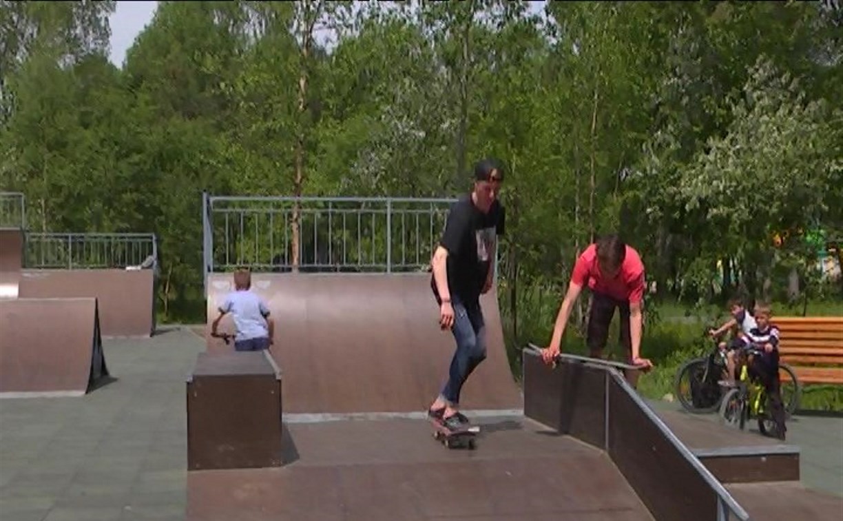 Известные экстремалы России поддержали строительство скейт-парка в Южно-Сахалинске