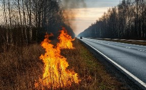 Происшествия