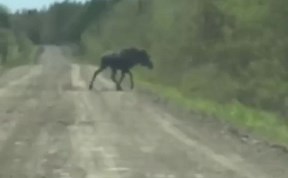 Общество
