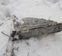 Рабочий на Сахалине не удержал кусок бетона и убил им коллегу