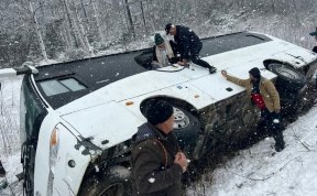 Общество