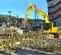 Вековые деревья снова рубят в Южно-Сахалинске