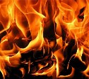 Пожар в СНТ "Труженик" потушили в Южно-Сахалинске
