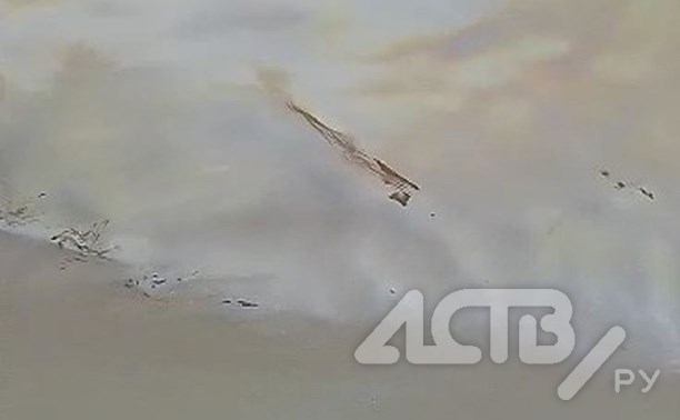 "Рыба заходит и шугается": сахалинец обнаружил масляную плёнку на реке Поронай