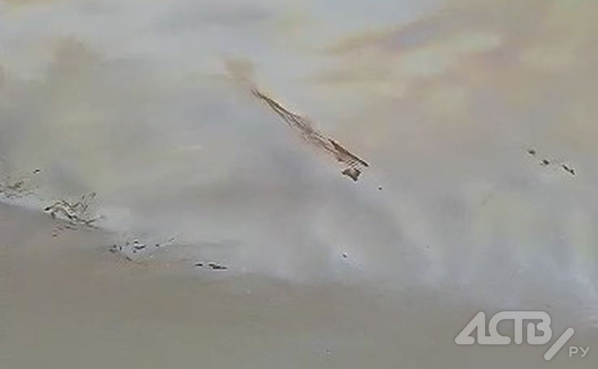"Рыба заходит и шугается": сахалинец обнаружил масляную плёнку на реке Поронай