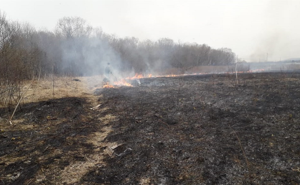 Около двух часов пожарные тушили горящую траву на поле в Дальнем