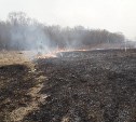 Около двух часов пожарные тушили горящую траву на поле в Дальнем