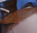 Росприроднадзор проверяет место выхода нефти в районе Катангли на Сахалине