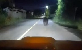 Общество