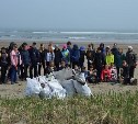 На пляжах Долинского района собрали 100 мешков мусора