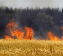 Пожарные потушили 600 "квадратов" сухой травы в Томаринском районе