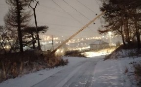 Происшествия